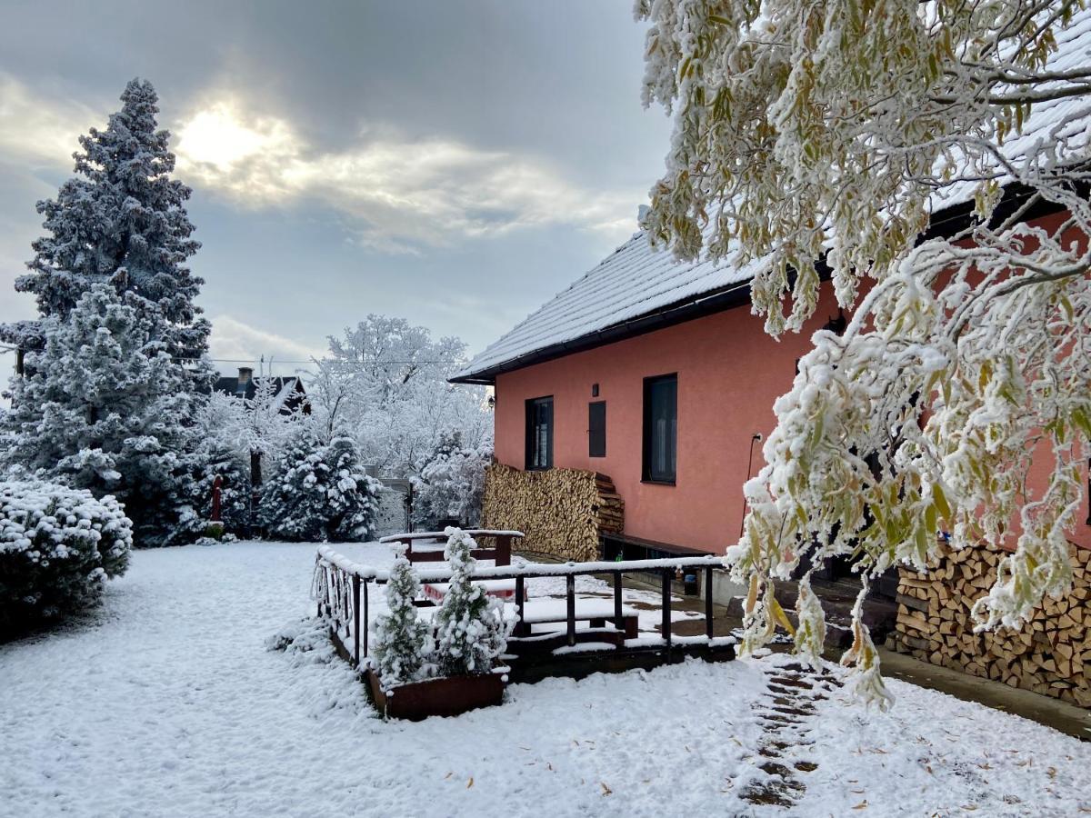 Libling Ruzovy Pensionat Banská Štiavnica Exteriör bild
