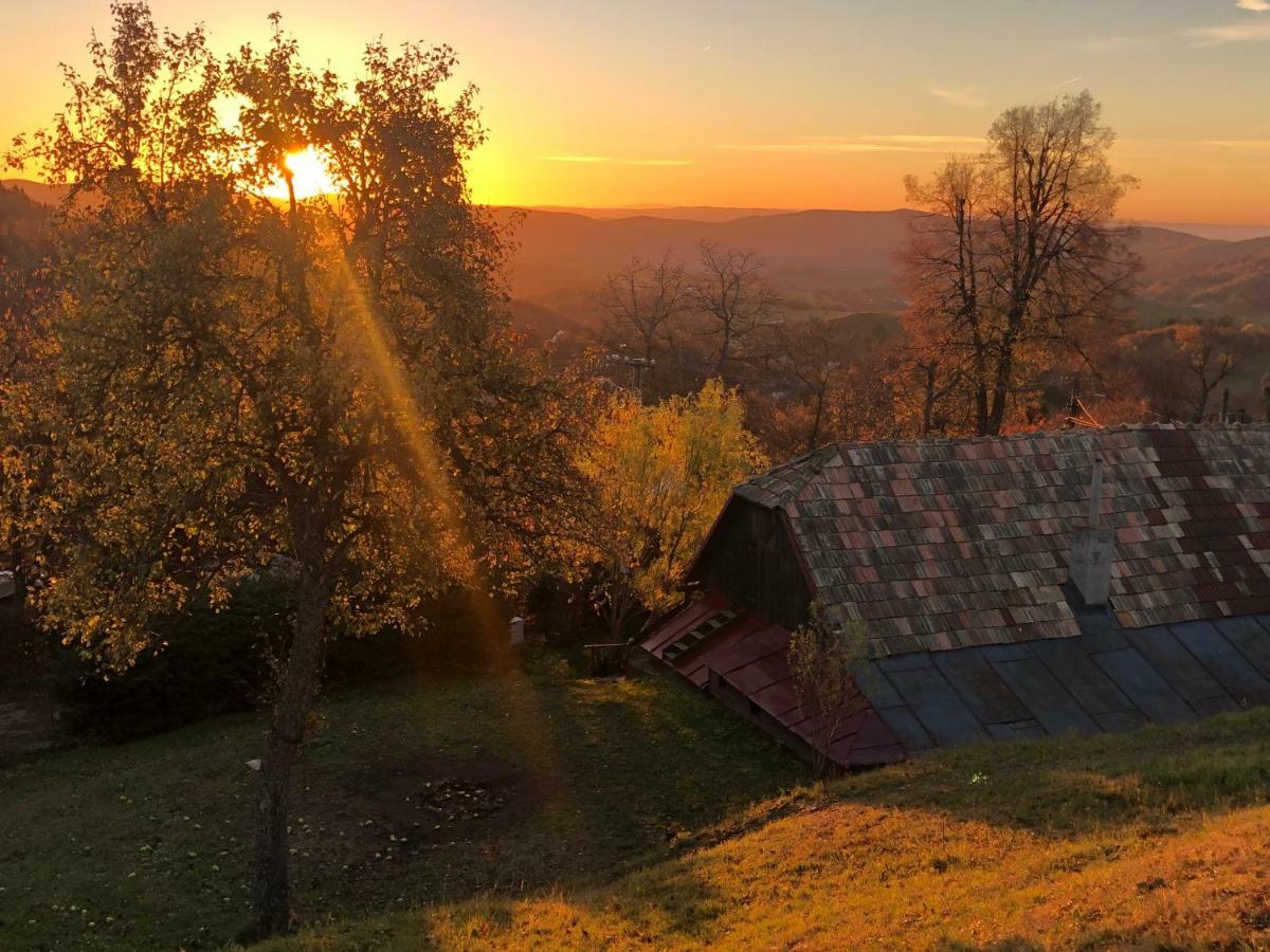 Libling Ruzovy Pensionat Banská Štiavnica Exteriör bild
