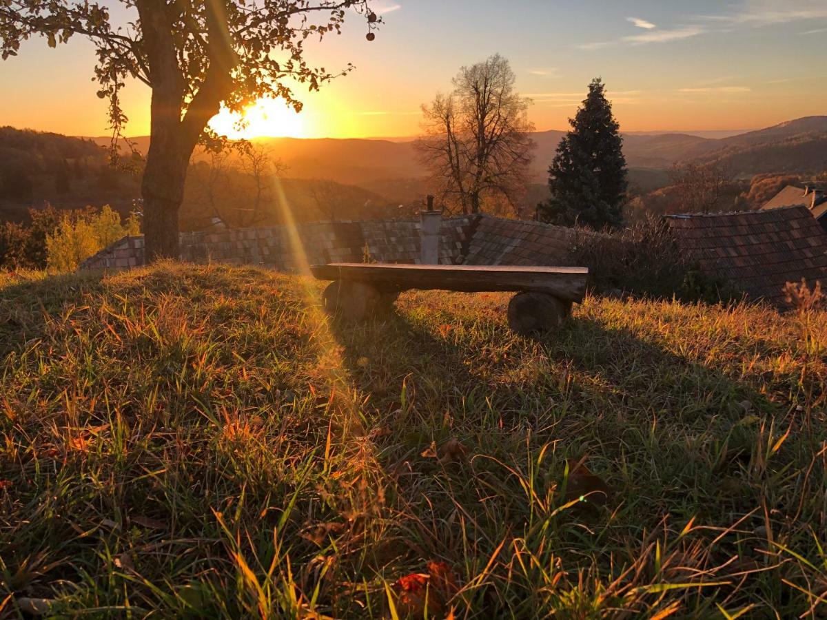 Libling Ruzovy Pensionat Banská Štiavnica Exteriör bild